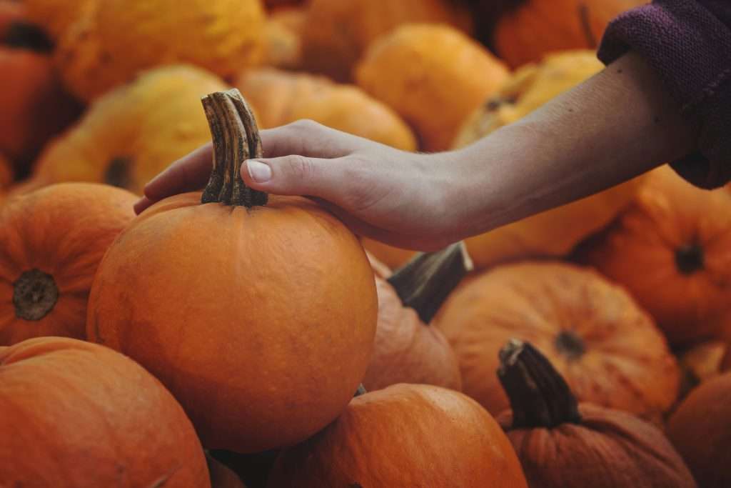 Late onset ocd treatment mn Late-onset ocd treatment mn